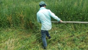 544986565_1961127474727498_73299128281815305_n