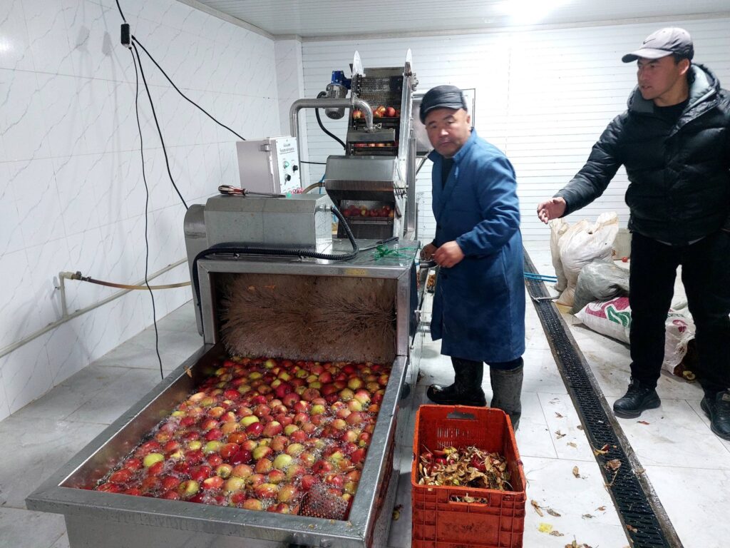 594687539_2037920787048166_97998689787382643_n (1)