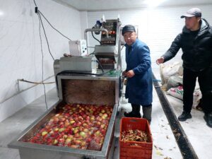 594687539_2037920787048166_97998689787382643_n (1)