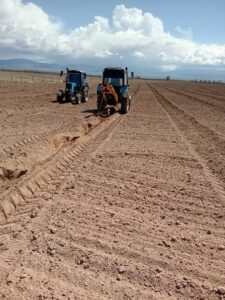 WhatsApp Image 2026-04-12 at 14.20.01